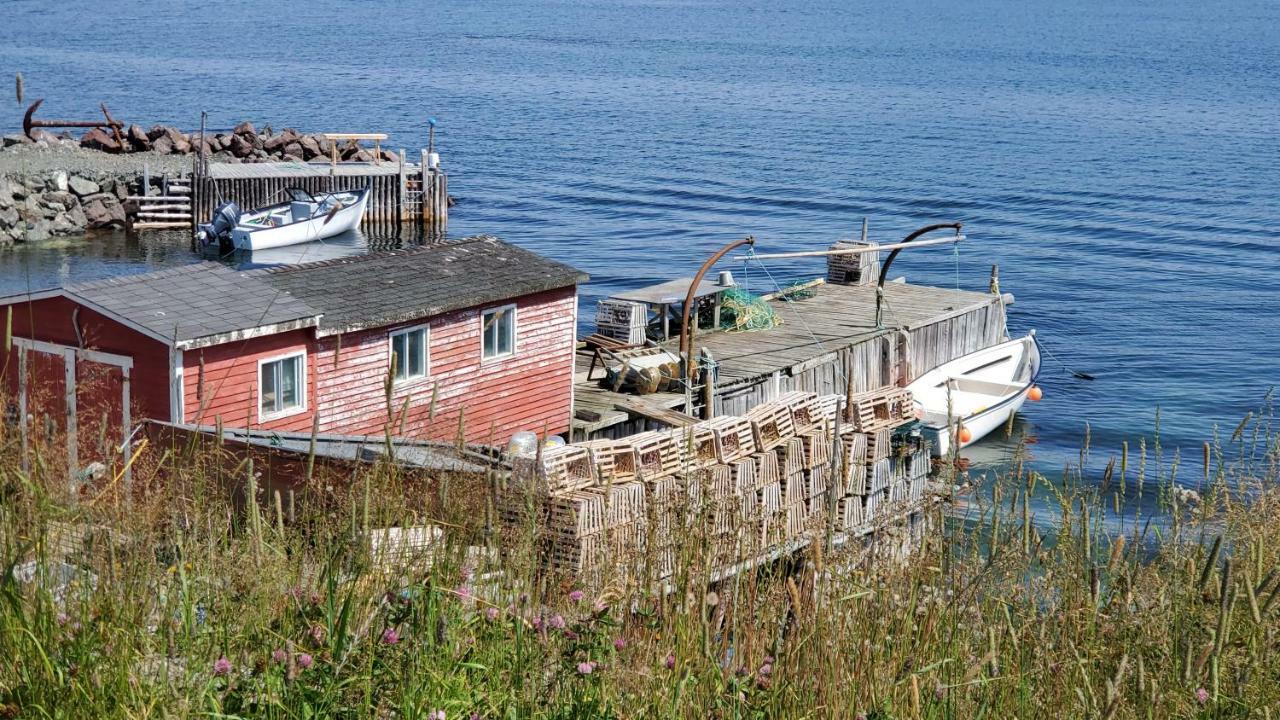 Hillside B&B Twillingate Eksteriør billede