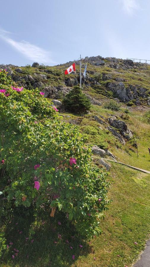 Hillside B&B Twillingate Eksteriør billede
